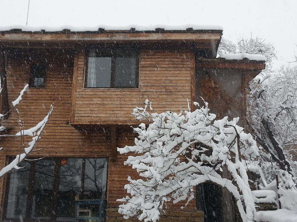 The Four Houses Kostenkovtsi Bilik gambar
