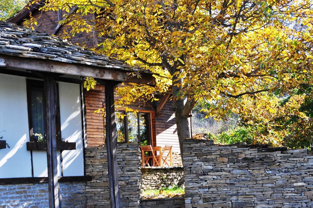 The Four Houses Kostenkovtsi Bilik gambar